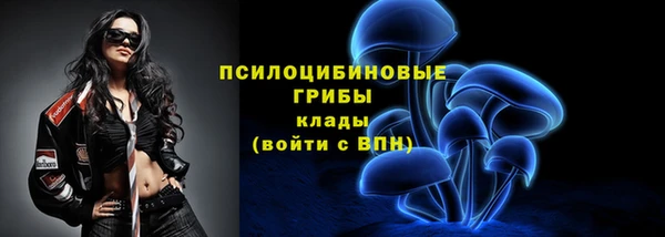 дурь Алзамай